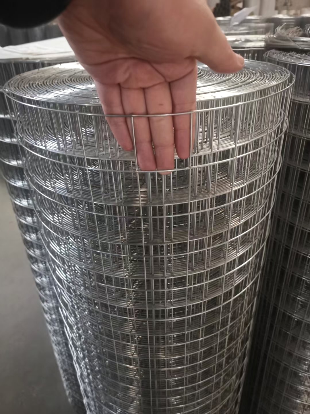 Close view of welded wire mesh roll opening for wire and coating review
